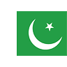 Pakistan Flag avatar