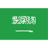 Saudi Arabia Flag (transparent) avatar