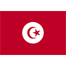Tunisia Flag (transparent) avatar