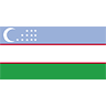 Uzbekistan Flag (transparent) avatar