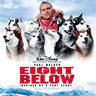 Eight Below avatar