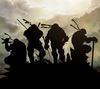 Ninja turtles avatar