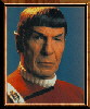 Spock 16 avatar