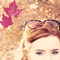 Maple leaves fall avatar