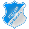 Hoffenheim (new) avatar