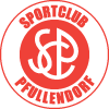 Pfullendorf avatar