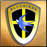 Cardiff City (Gold) avatar