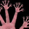 Hands avatar