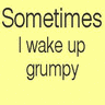 I wake up grumpy avatar