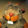 Marmot teddy avatar