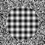 Optical illusion avatar