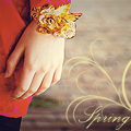 Springwear avatar