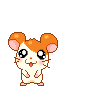 Hamtaro stumbles avatar
