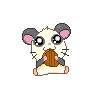 Panda sesame seed avatar
